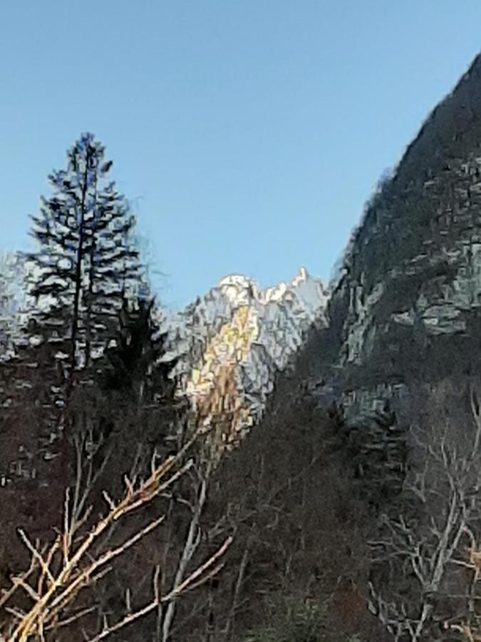 Kalipe Dolomiti Lejlighed Soffranco Eksteriør billede